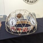 PXL_20240611_105348630